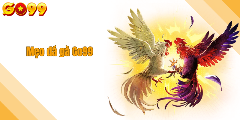 Mẹo đá gà Go99